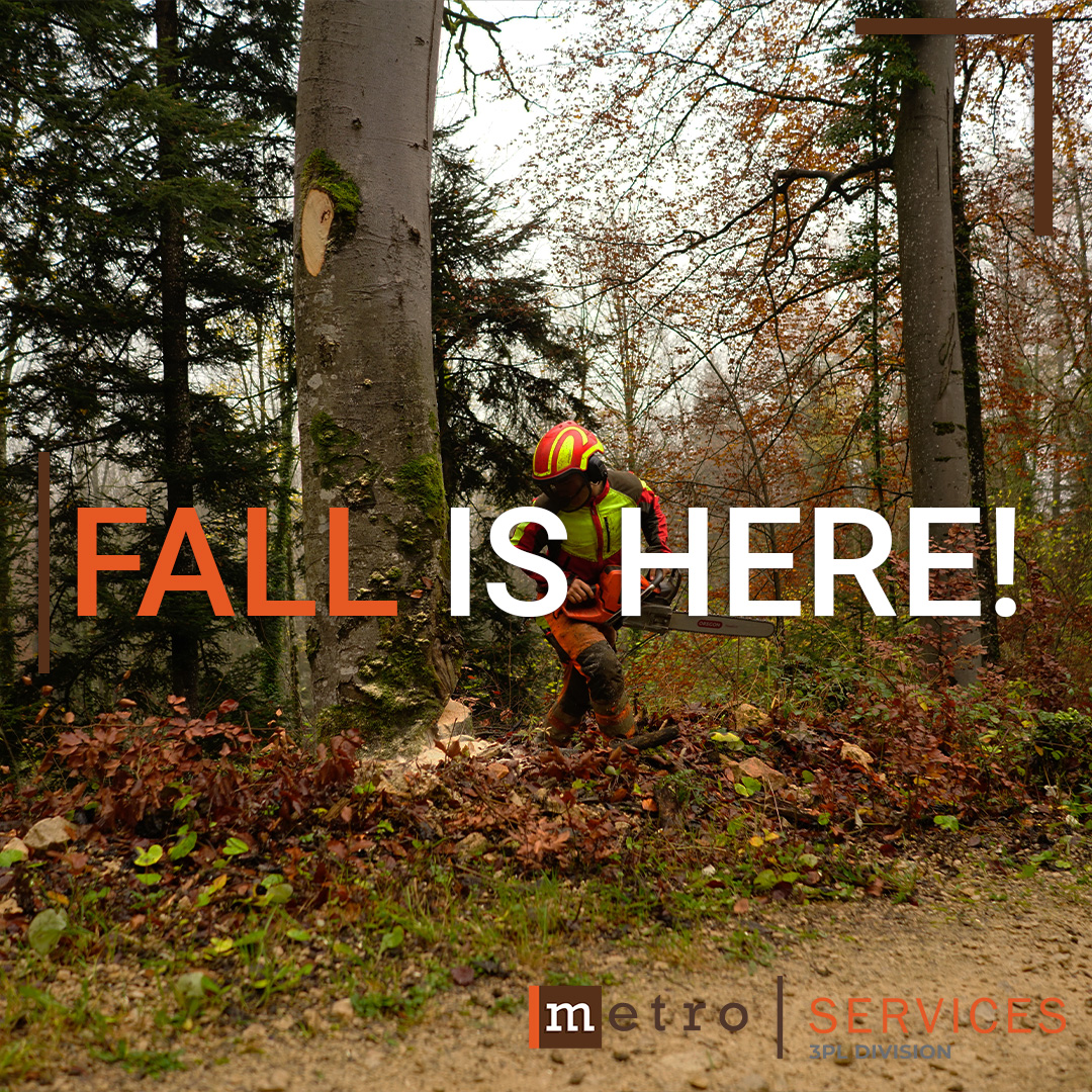 Fall into a new job 